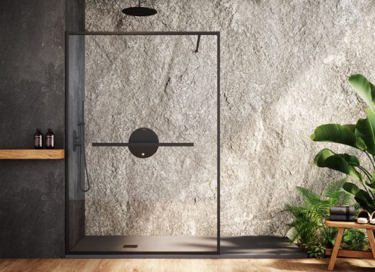 Douche moderne avec paroi en verre, mur en pierre et plantes décoratives.